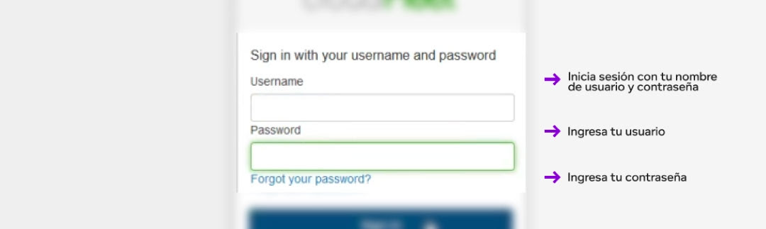 ingresar_usuario_contraseña.png